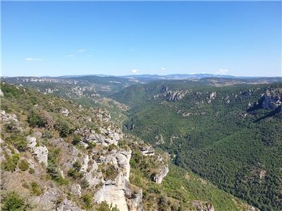 Cicruits touristiques en voiture ancienne dans le sud Aveyron